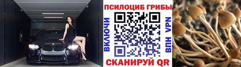 блэк спрут как войти  сколько стоит  Пестово  Галлюциногенные грибы прущие грибы 